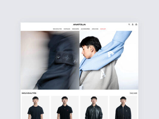 flatsome custom web design and development anatolia brand homepage