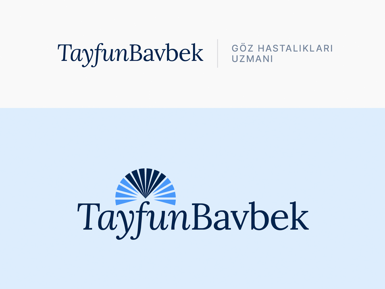 tayfun bavbek brand logo